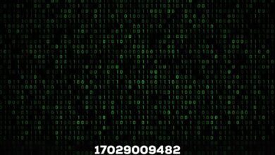 17029009482