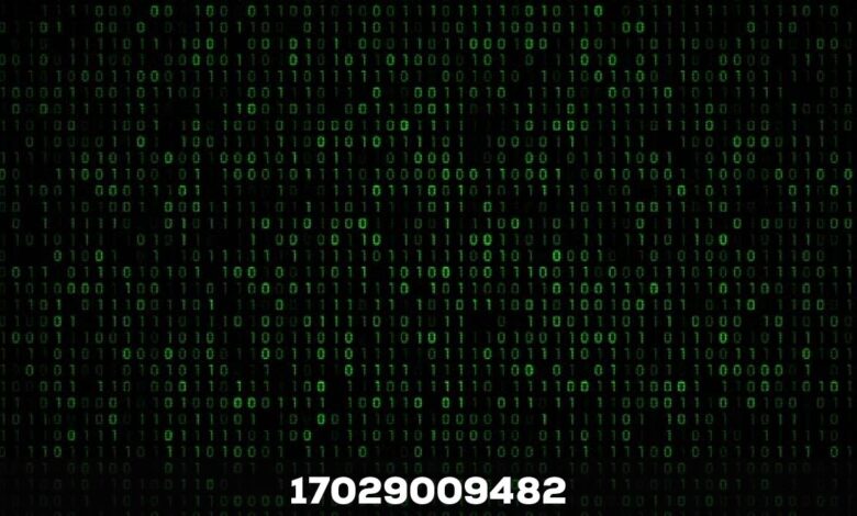 17029009482