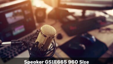 Speaker GS1E665 960 Size