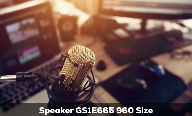 Speaker GS1E665 960 Size